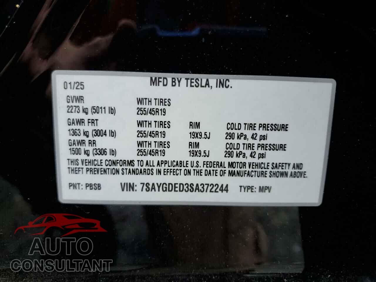 TESLA MODEL Y 2025 - 7SAYGDED3SA372244
