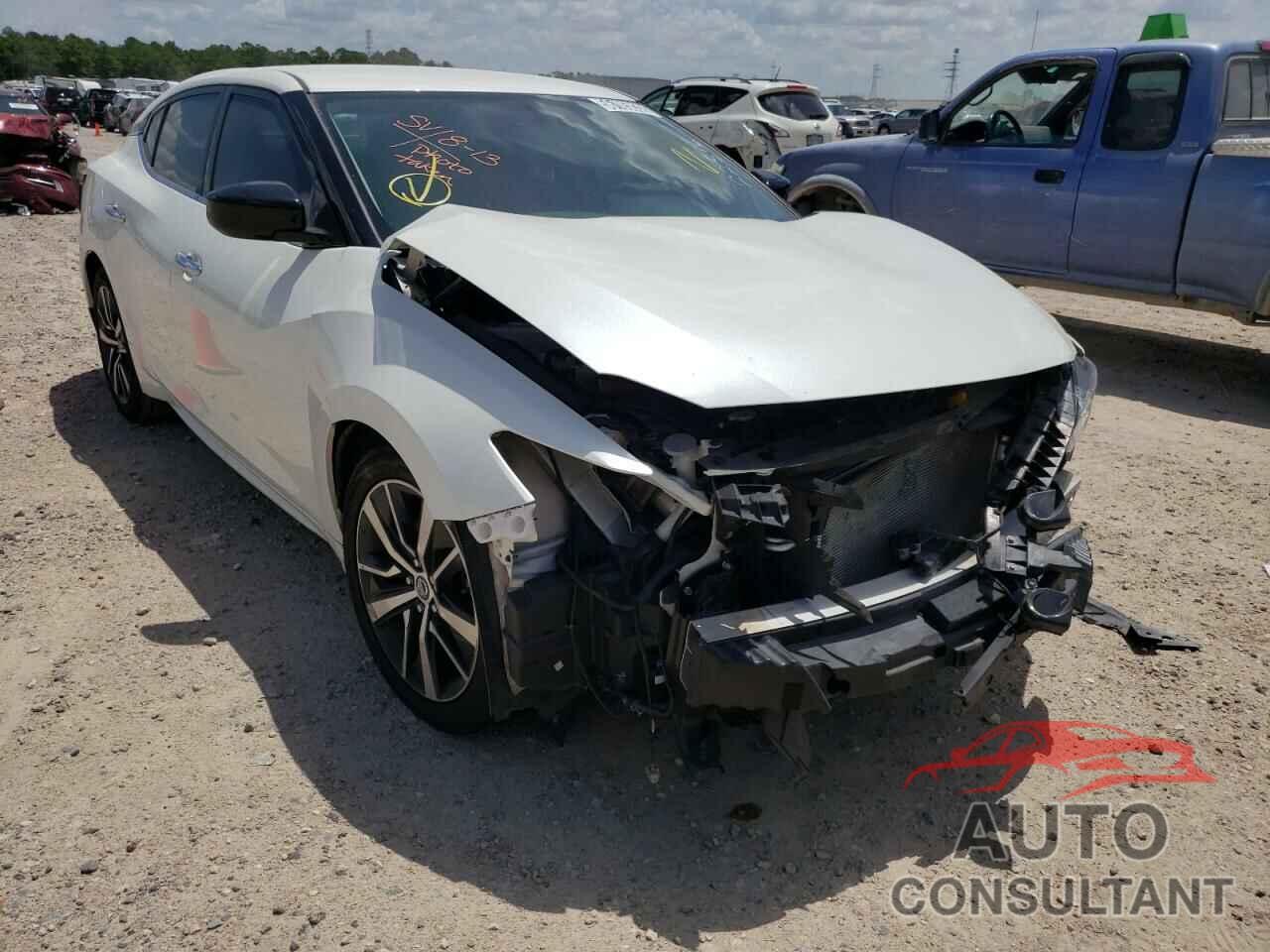 NISSAN MAXIMA 2019 - 1N4AA6AV3KC375130