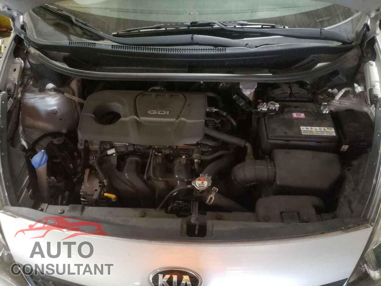 KIA RIO 2017 - KNADM4A37H6015865