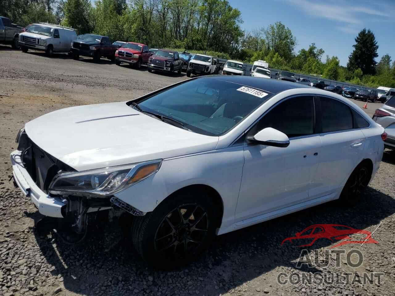 HYUNDAI SONATA 2016 - 5NPE34AF7GH293058