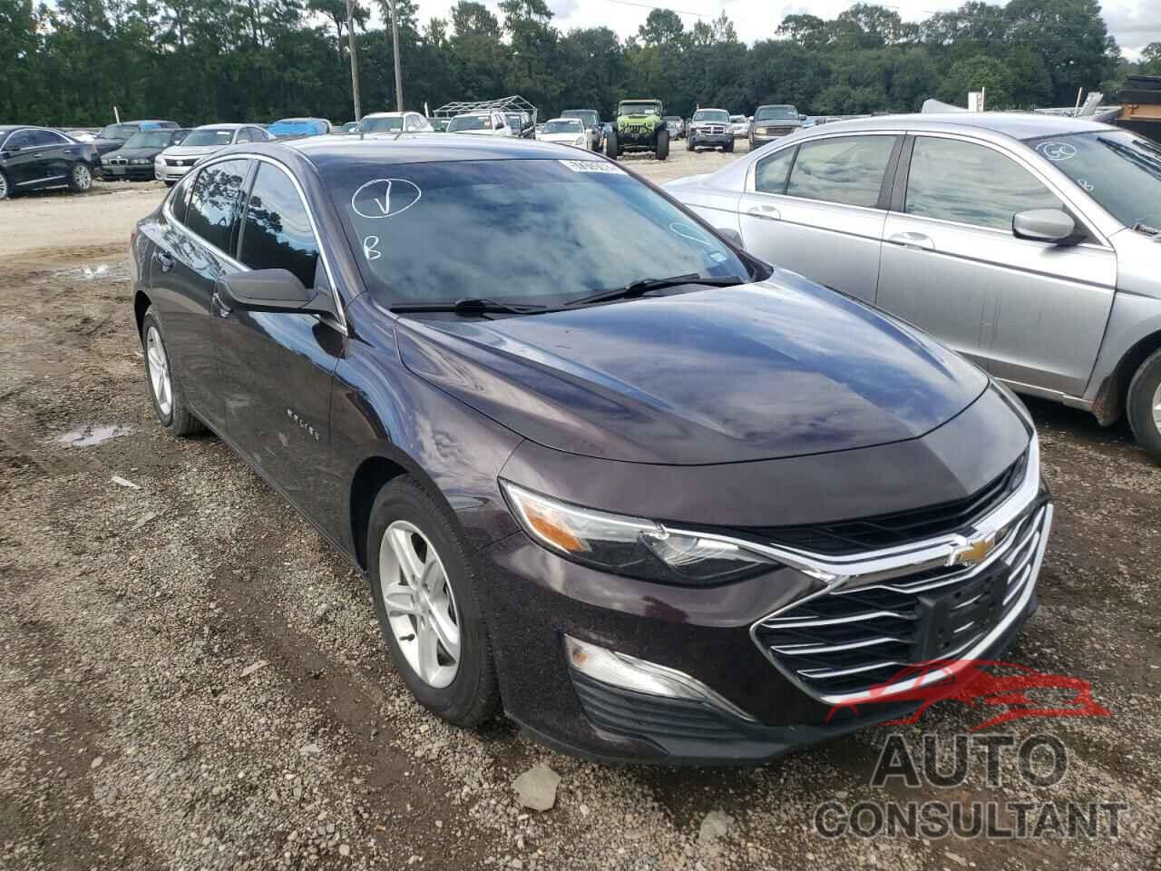 CHEVROLET MALIBU 2020 - 1G1ZC5ST8LF083979