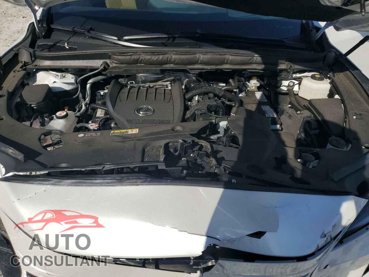 LEXUS RX350 2024 - 2T2BAMBA0RC028785