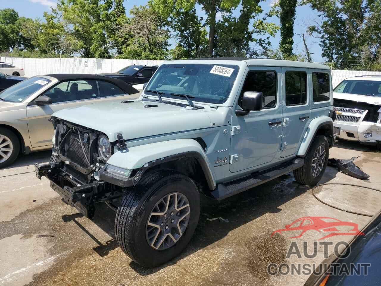 JEEP WRANGLER 2024 - 1C4PJXEN2RW105609