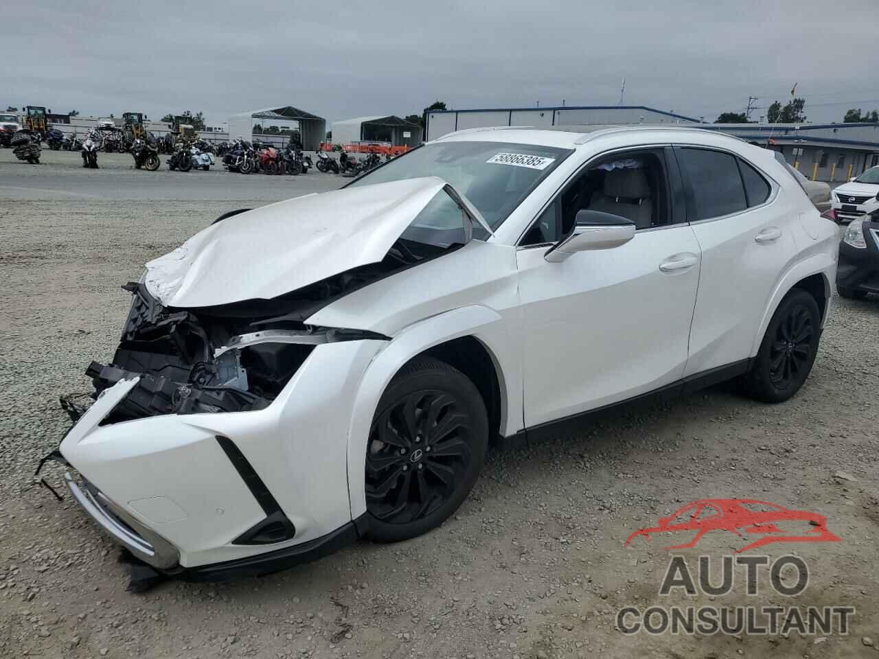 LEXUS UX 250H PR 2024 - JTHP9JBH5R2076214