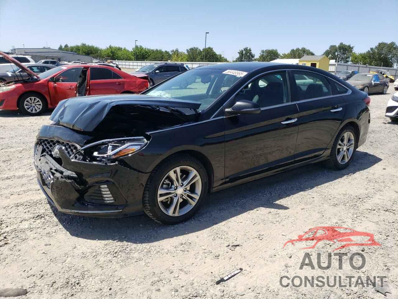 HYUNDAI SONATA 2019 - 5NPE34AF0KH769322