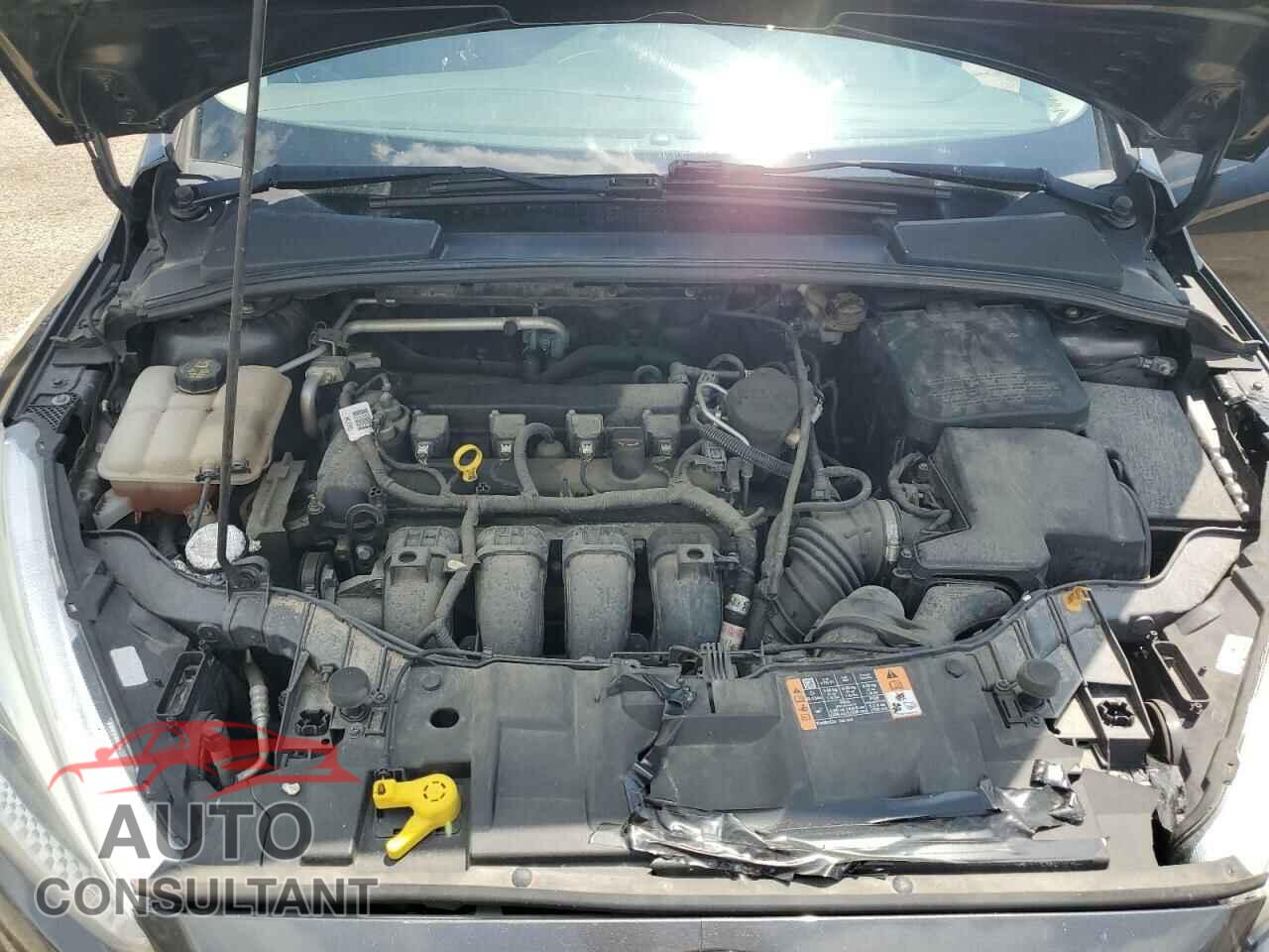 FORD FOCUS 2016 - 1FADP3F20GL305424