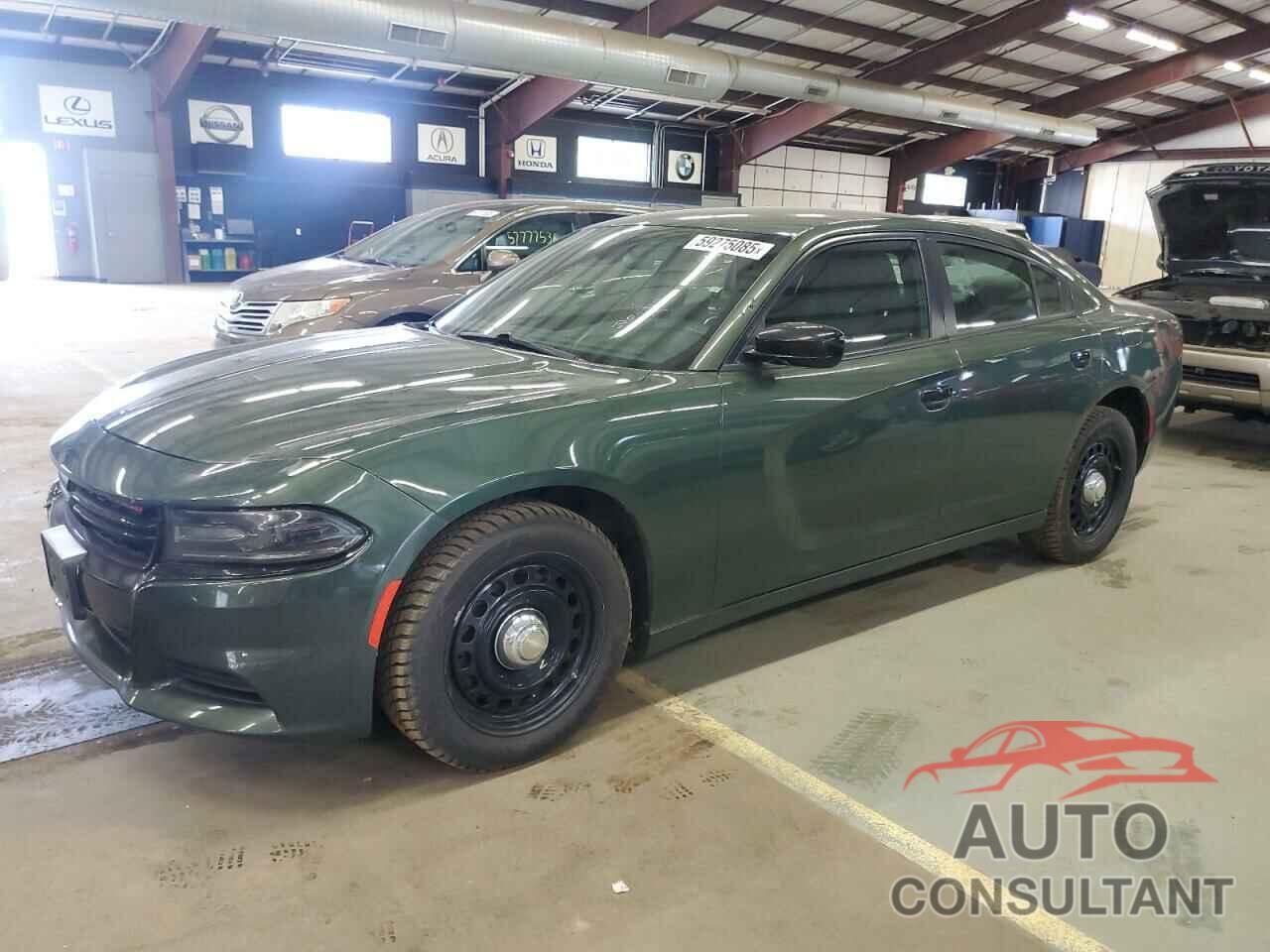 DODGE CHARGER 2019 - 2C3CDXKT9KH617692