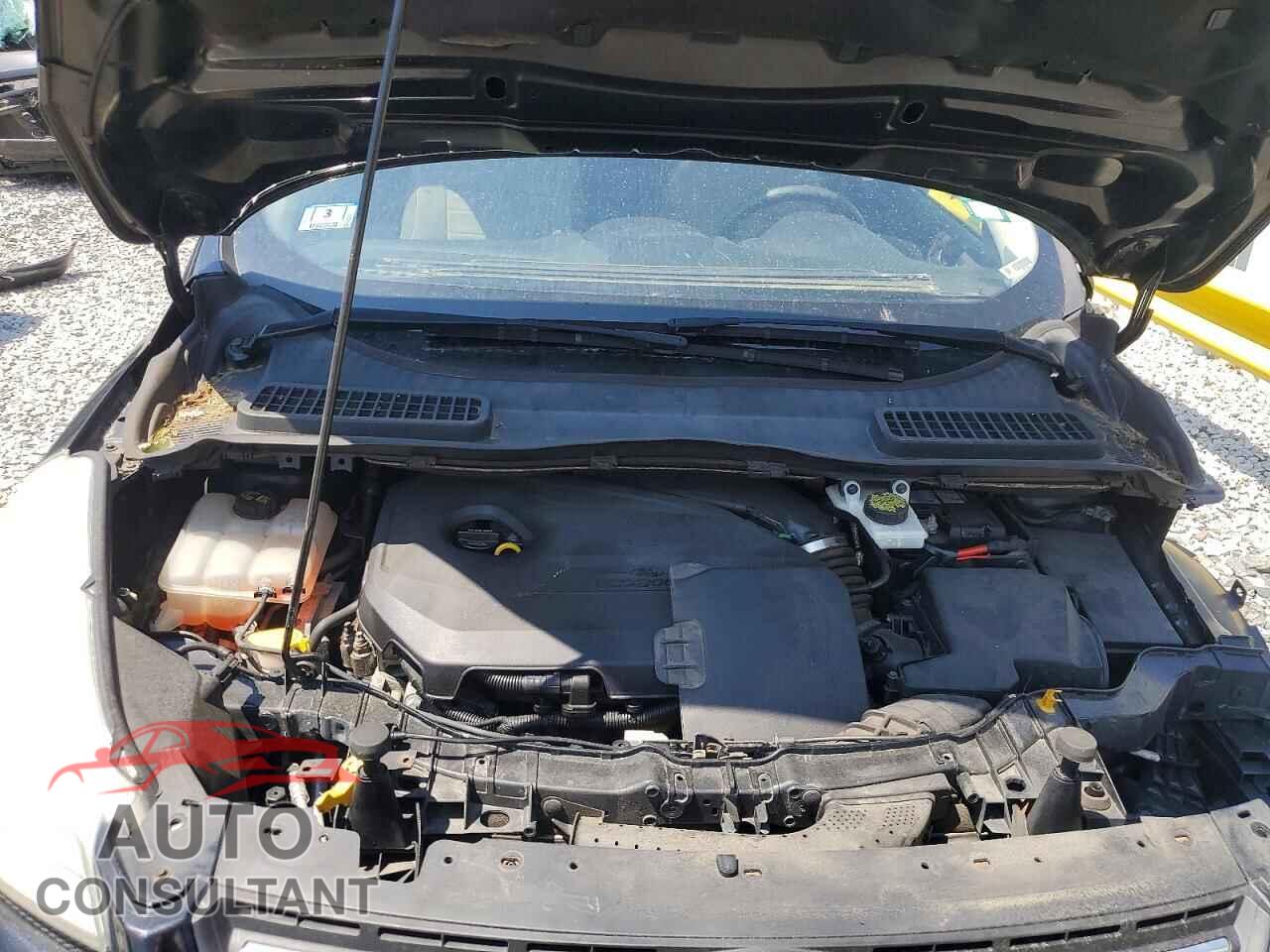 FORD ESCAPE 2014 - 1FMCU9GX3EUE44669