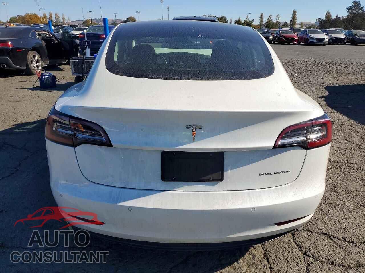 TESLA MODEL 3 2020 - 5YJ3E1EBXLF637885
