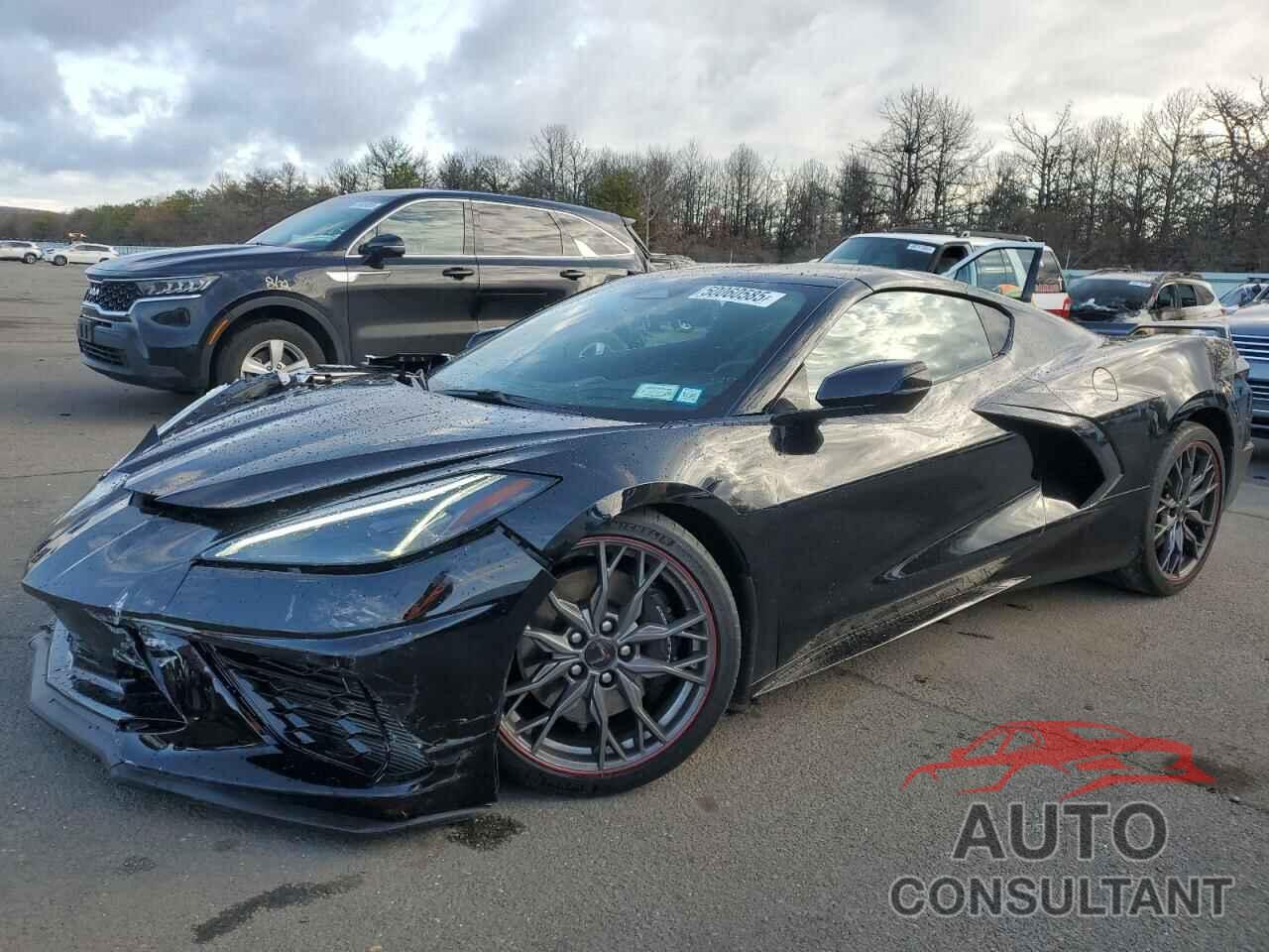 CHEVROLET CORVETTE 2024 - 1G1YB2D43R5120793