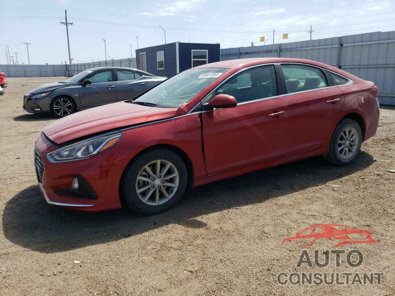 HYUNDAI SONATA 2019 - 5NPE24AF8KH757969