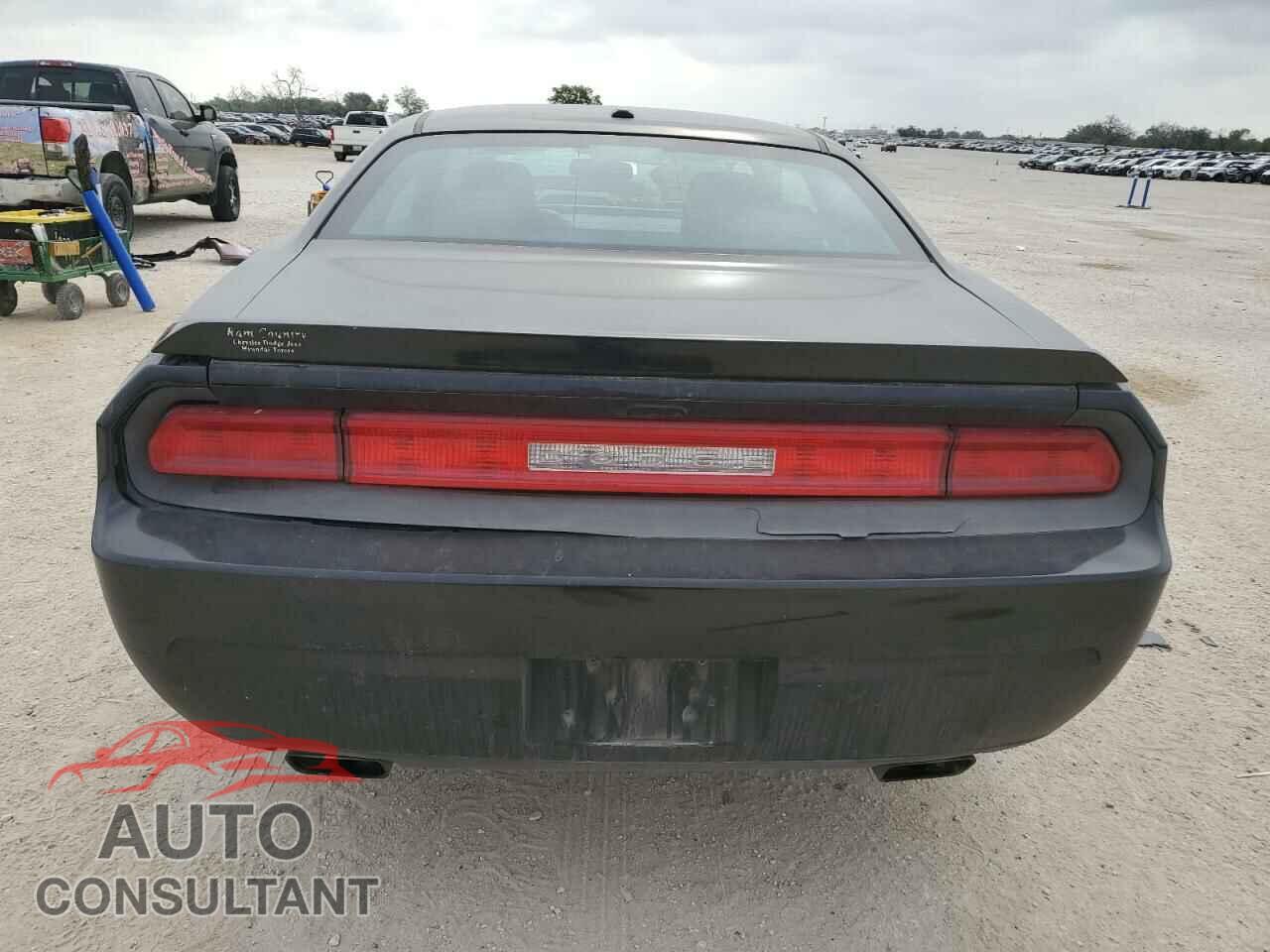 DODGE CHALLENGER 2013 - 2C3CDYAG1DH628702