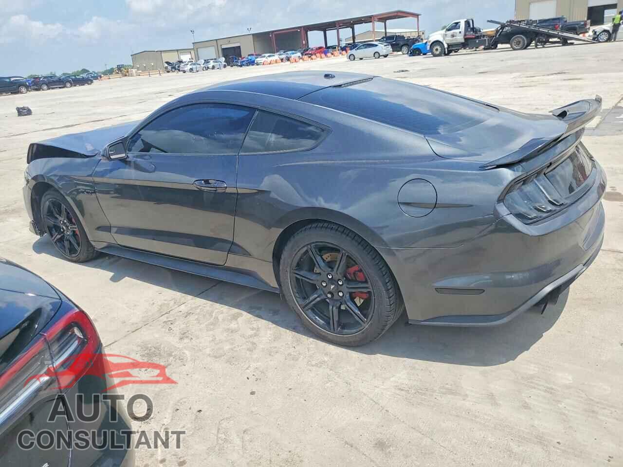FORD MUSTANG 2019 - 1FA6P8CF2K5192585