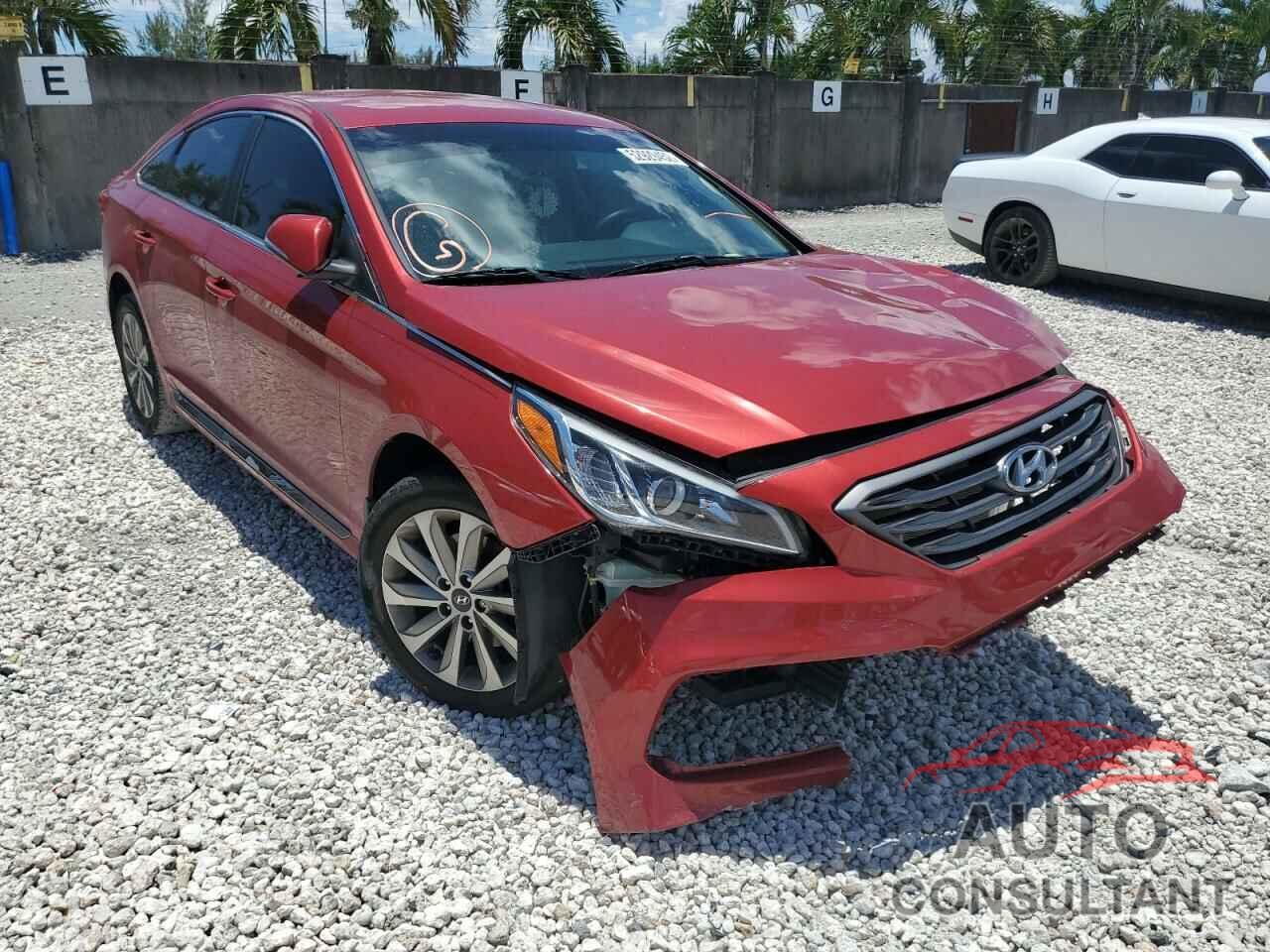 HYUNDAI SONATA 2017 - 5NPE34AFXHH488752