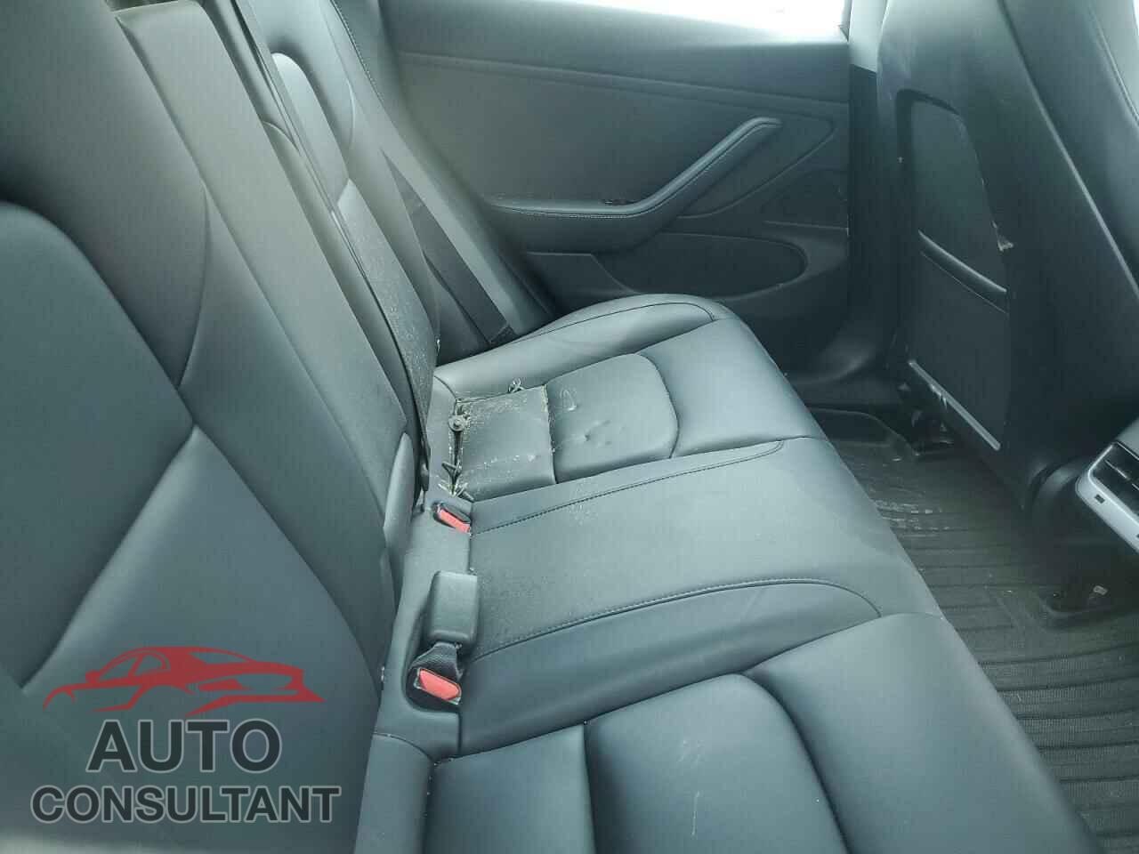 TESLA MODEL 3 2019 - 5YJ3E1EA1KF189977