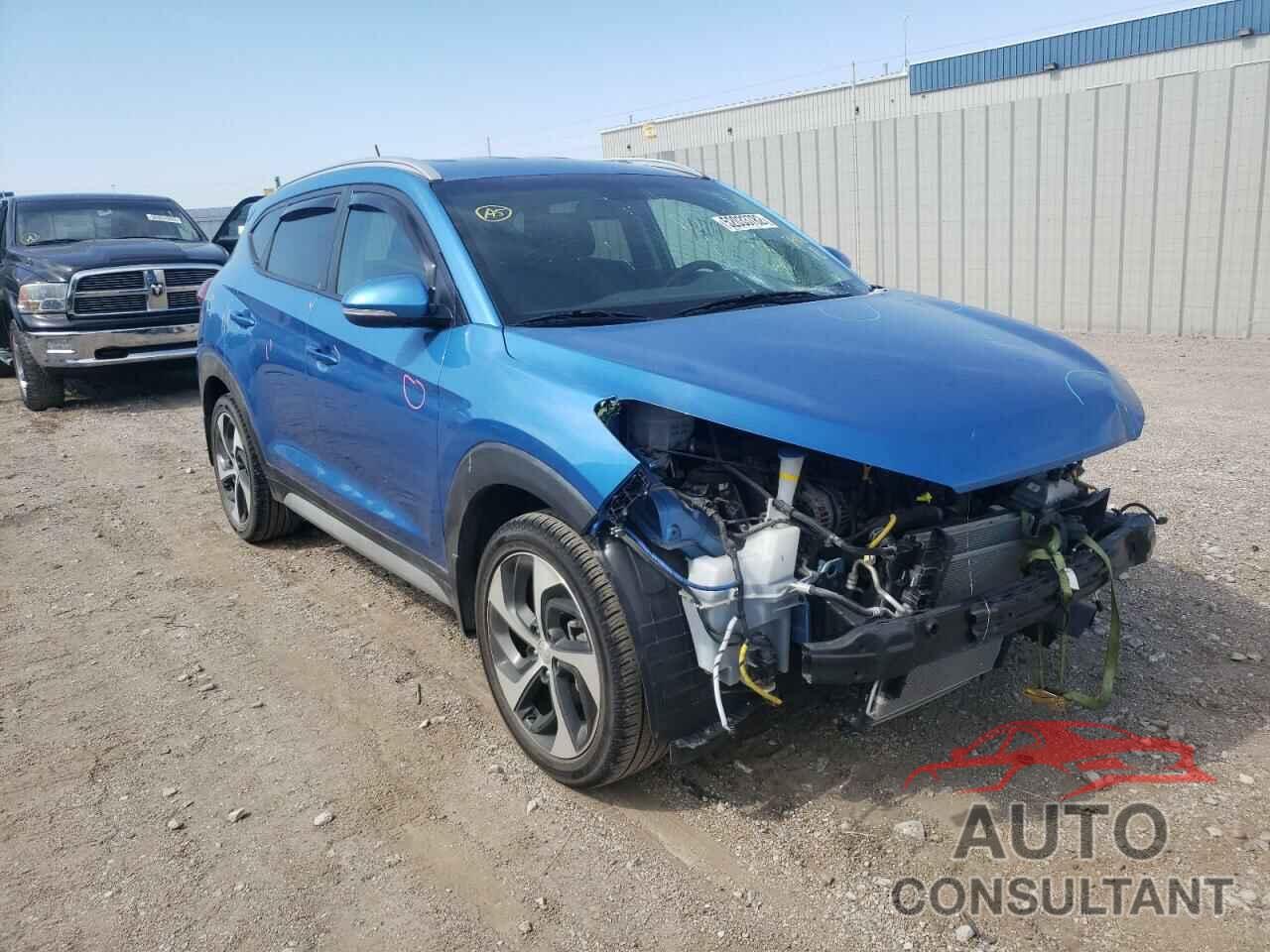 HYUNDAI TUCSON 2017 - KM8J3CA27HU503408