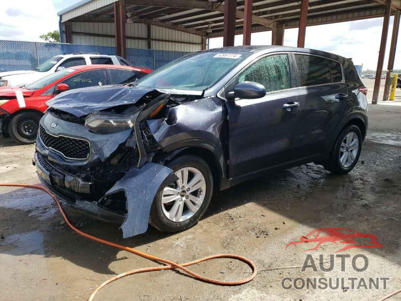 KIA SPORTAGE 2019 - KNDPM3AC5K7565058