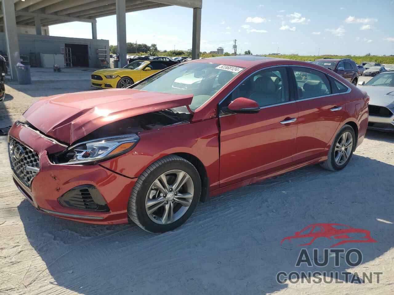 HYUNDAI SONATA 2019 - 5NPE34AF0KH798089