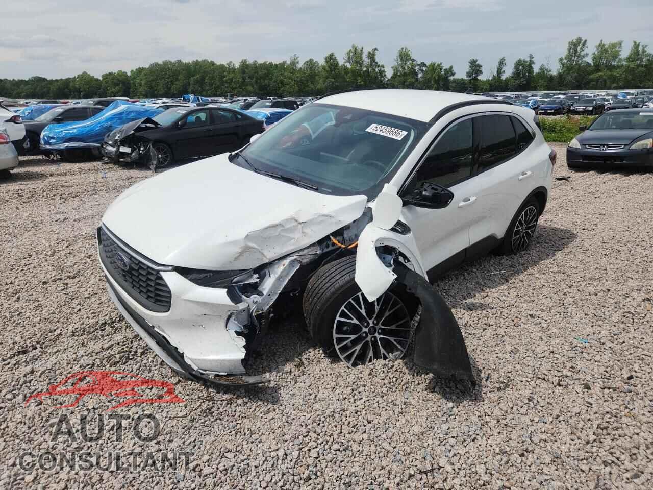 FORD ESCAPE 2024 - 1FMCU0E19RUB31030