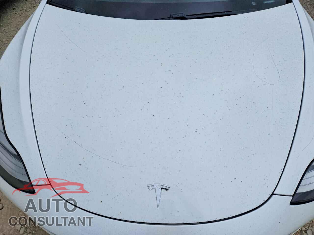 TESLA MODEL 3 2020 - 5YJ3E1EA4LF590957