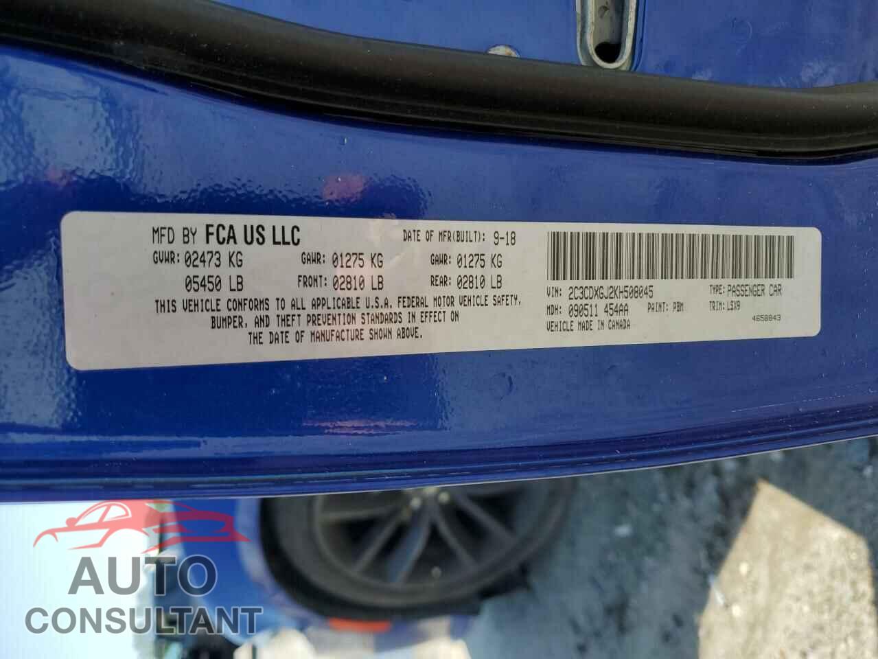 DODGE CHARGER 2019 - 2C3CDXGJ2KH508045