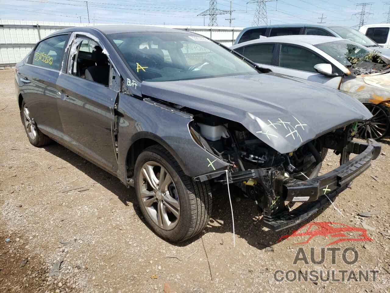 HYUNDAI SONATA 2019 - 5NPE34AF6KH807376