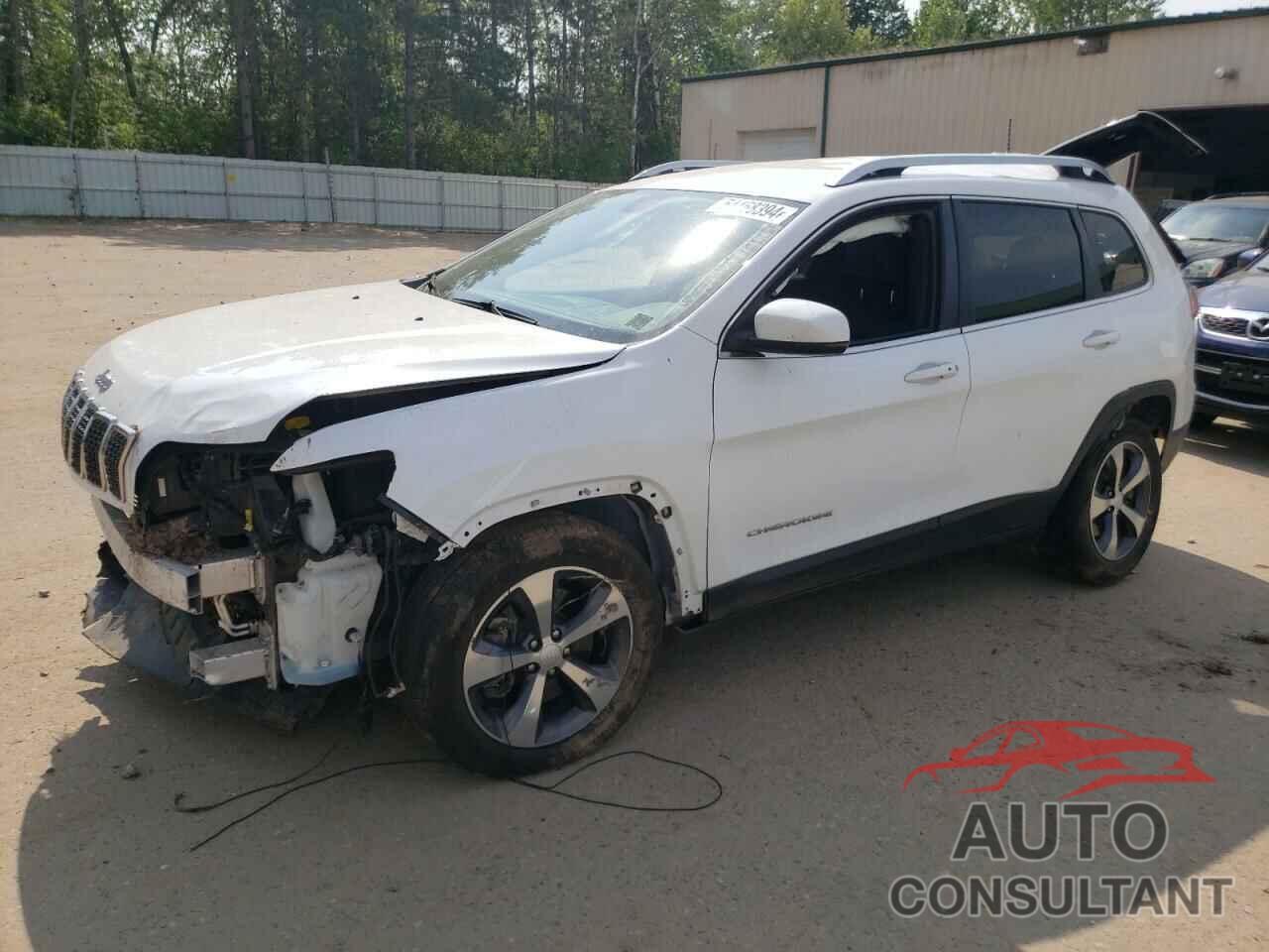 JEEP GRAND CHER 2019 - 1C4PJMDN1KD201409