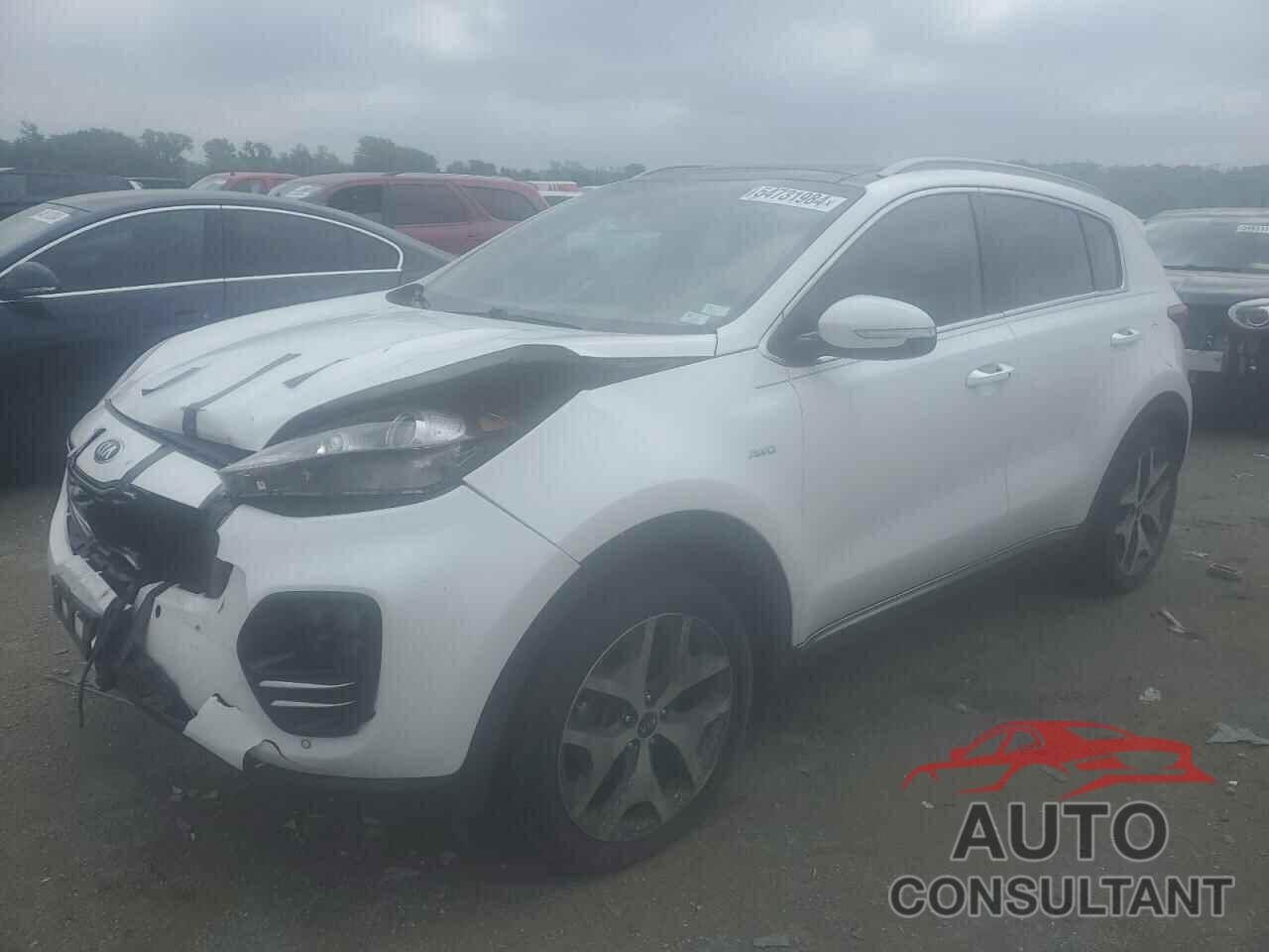 KIA SPORTAGE 2017 - KNDPRCA65H7184167