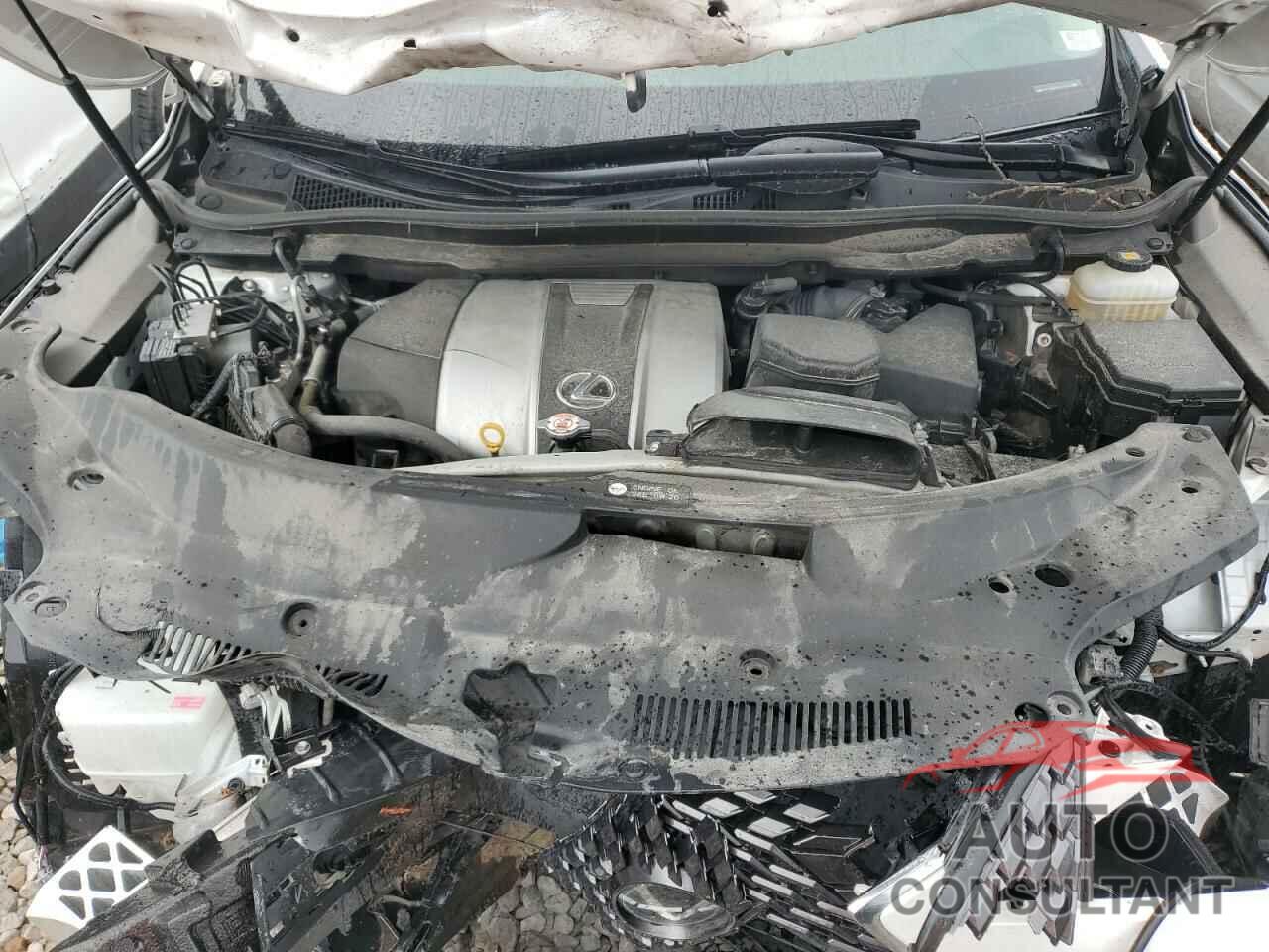 LEXUS RX350 2020 - JTJHZKFA0L2025443