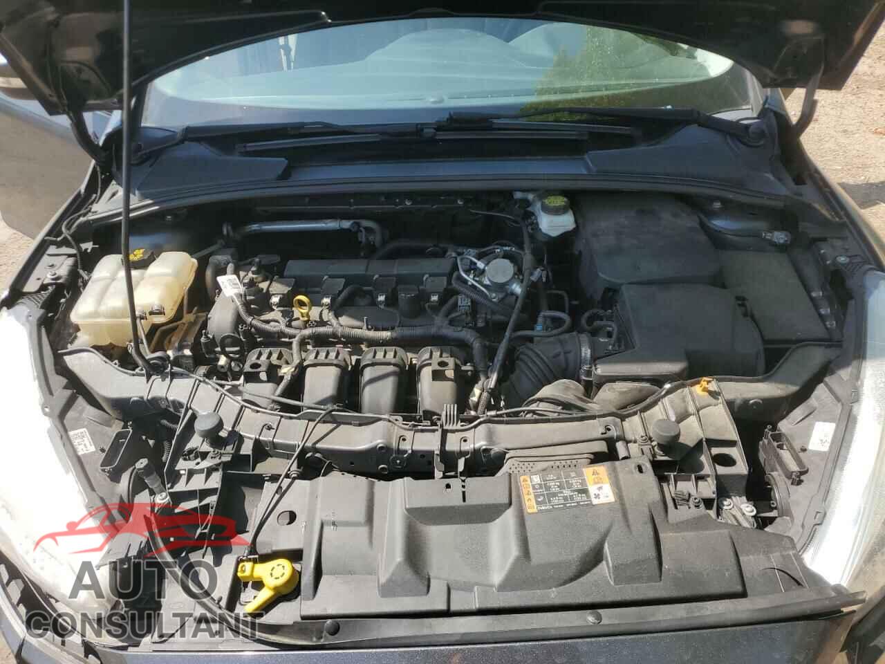 FORD FOCUS 2017 - 1FADP3F24HL317545