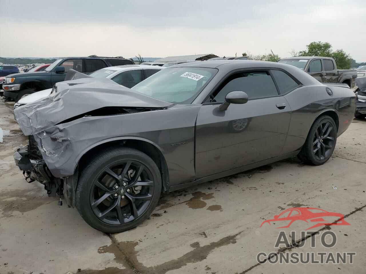 DODGE CHALLENGER 2022 - 2C3CDZBTXNH143669