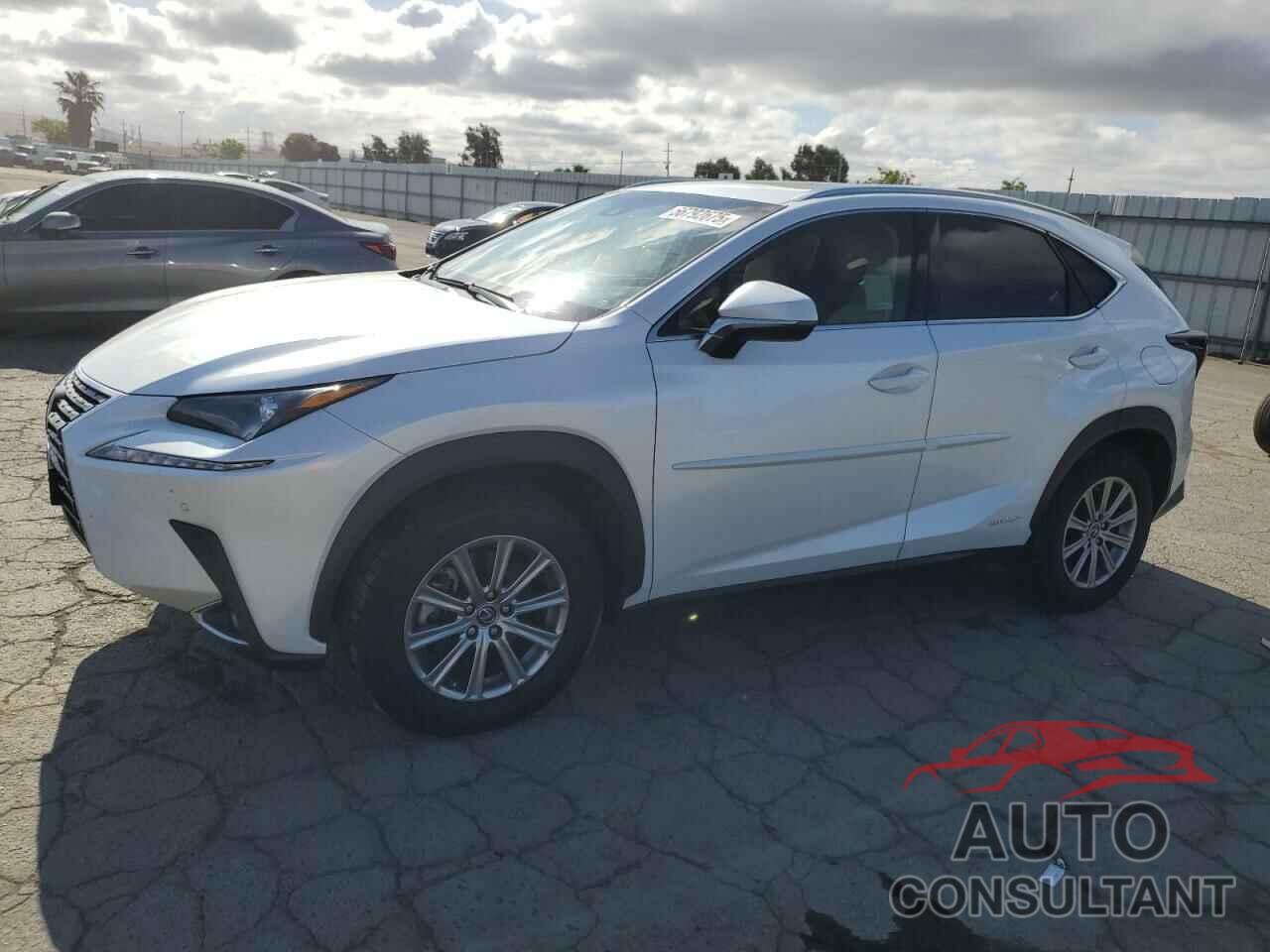 LEXUS NX 2019 - JTJBJRBZ0K2121542