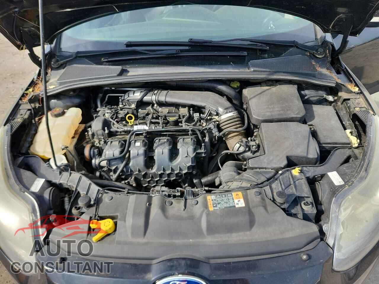 FORD FOCUS 2014 - 1FADP3L94EL403788