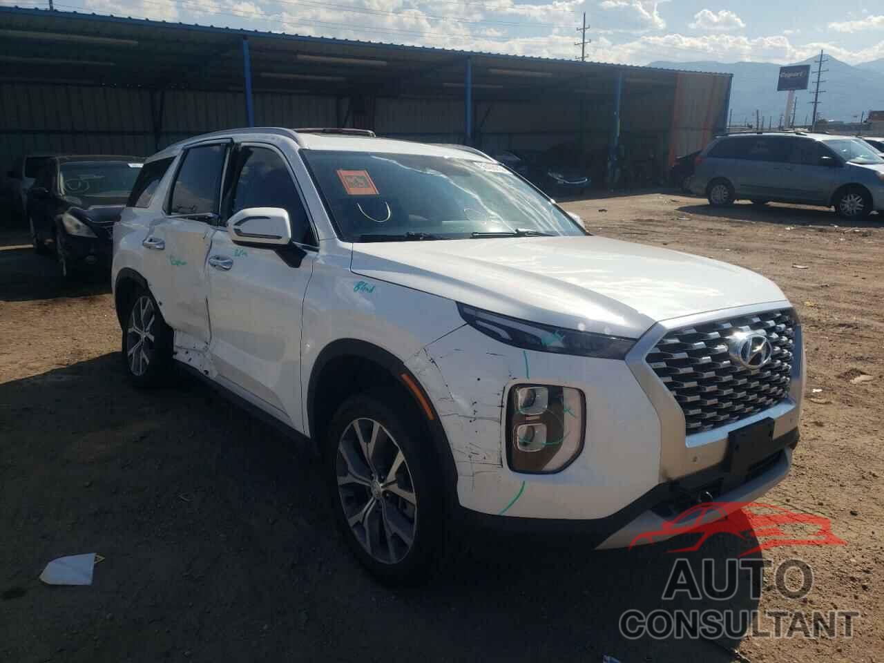 HYUNDAI PALISADE 2020 - KM8R34HE6LU142884