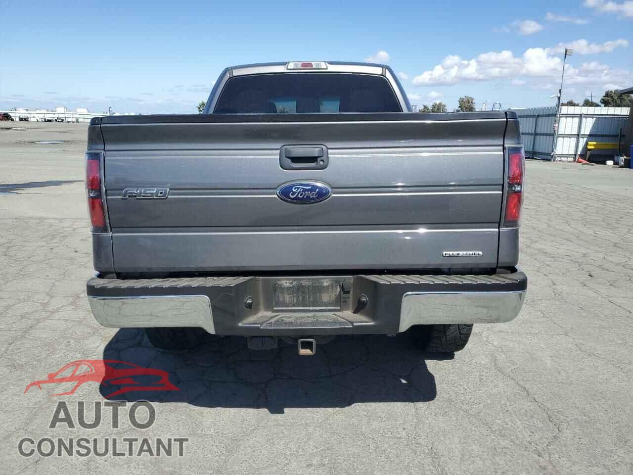FORD F-150 2013 - 1FTFX1EF4DFD06873