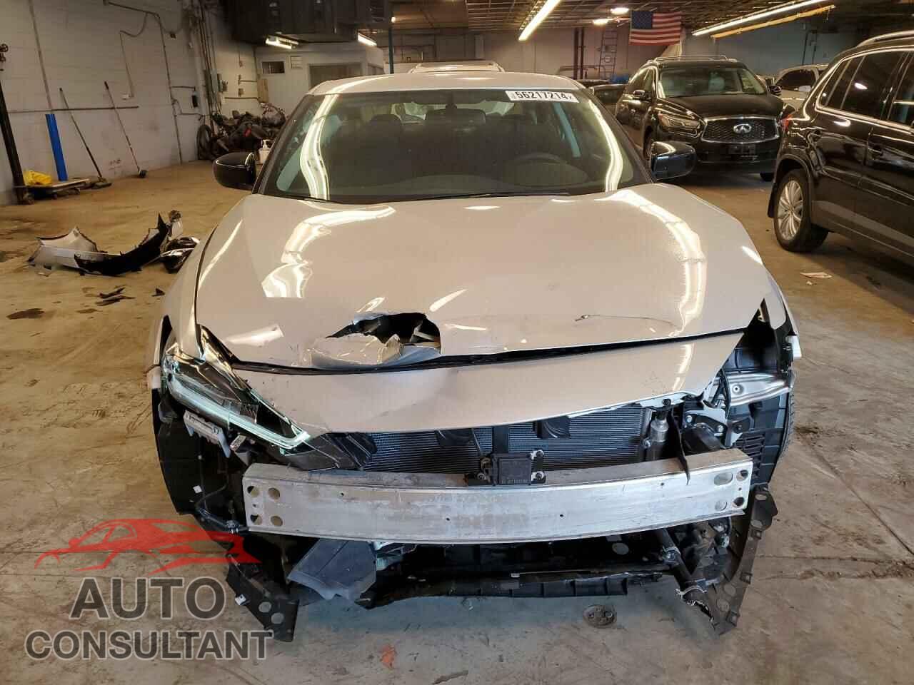 NISSAN MAXIMA 2019 - 1N4AA6AV3KC361406