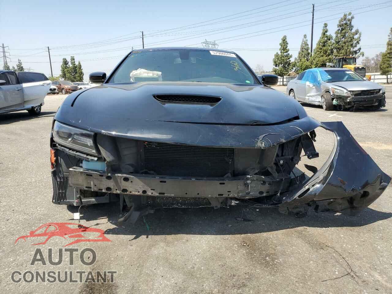 DODGE CHARGER 2019 - 2C3CDXCT5KH575228