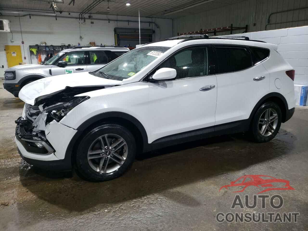 HYUNDAI SANTA FE 2017 - 5NMZUDLB7HH003733