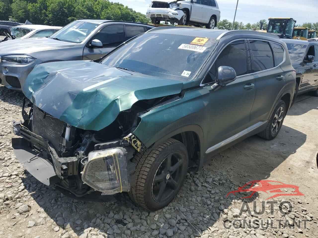 HYUNDAI SANTA FE 2019 - 5NMS3CAD3KH037100