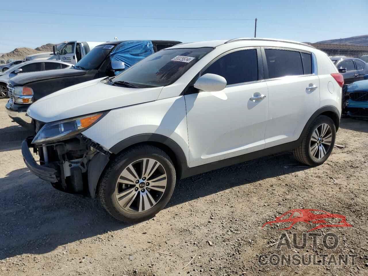 KIA SPORTAGE 2016 - KNDPC3AC4G7838386