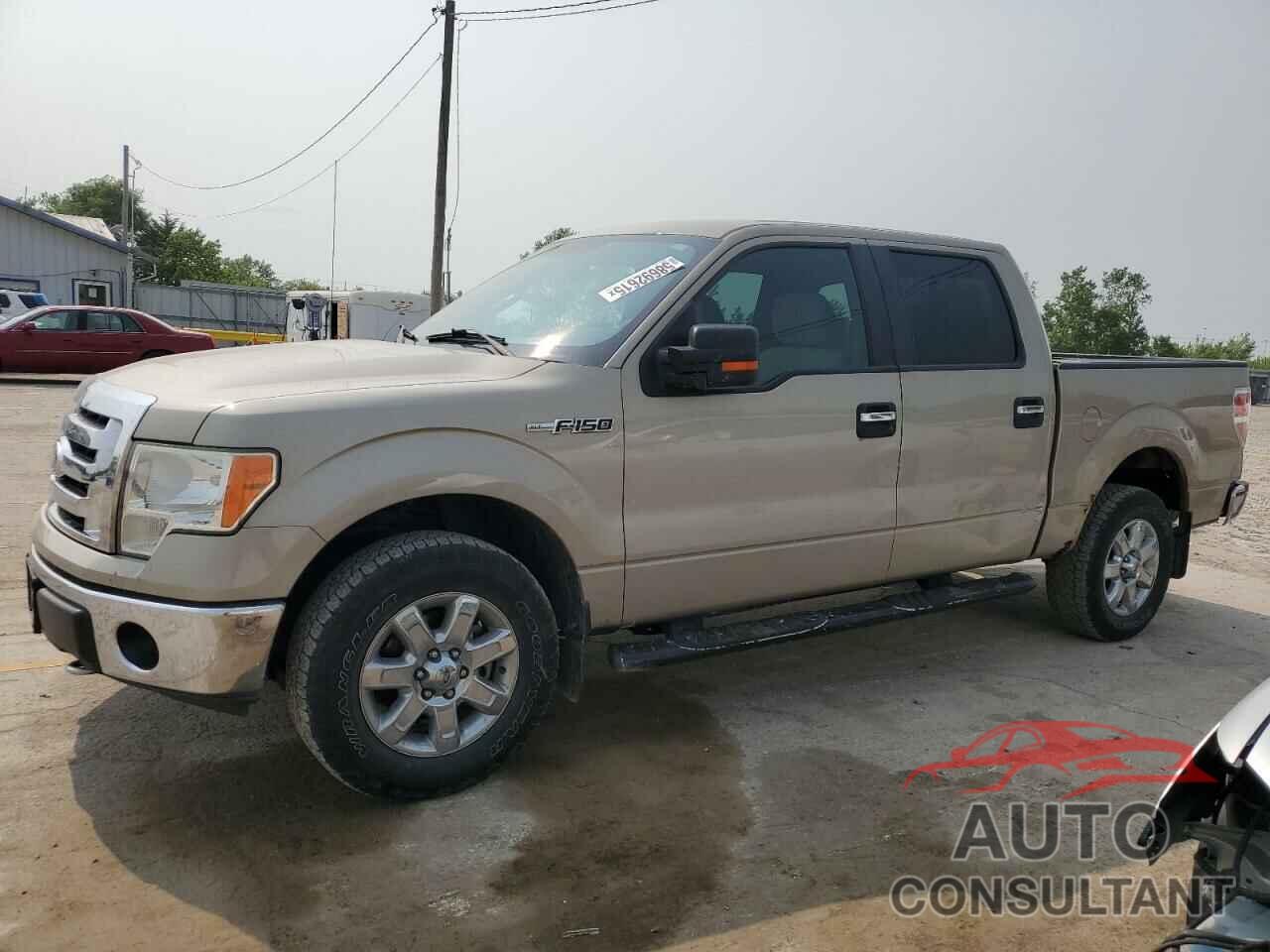 FORD F-150 2009 - 1FTRW14889KC61289
