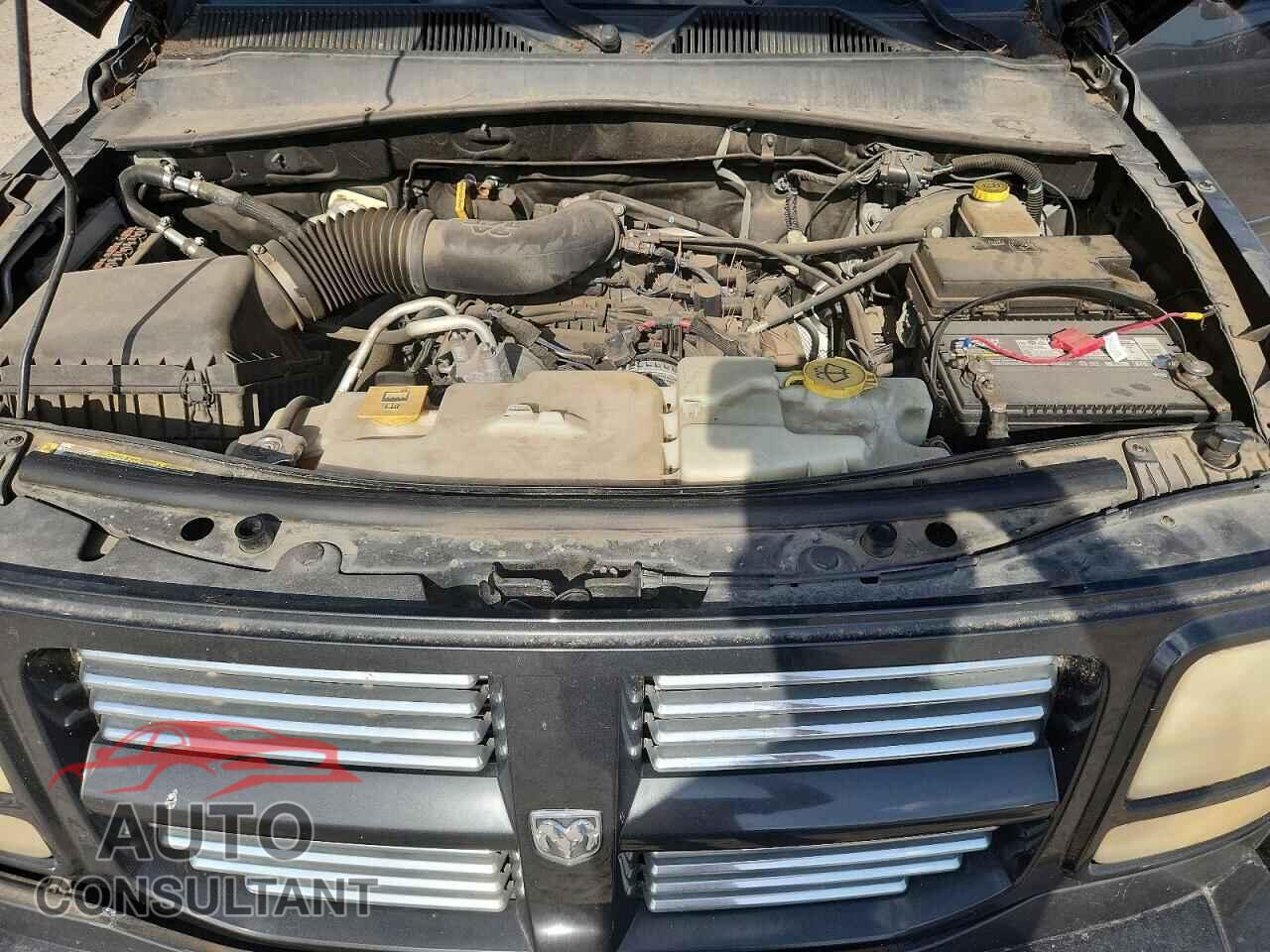DODGE NITRO 2010 - 1D4PT4GK9AW172002