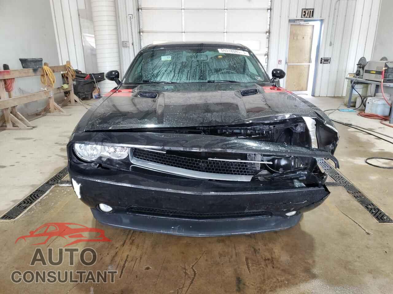 DODGE CHALLENGER 2014 - 2C3CDYBT0EH137325