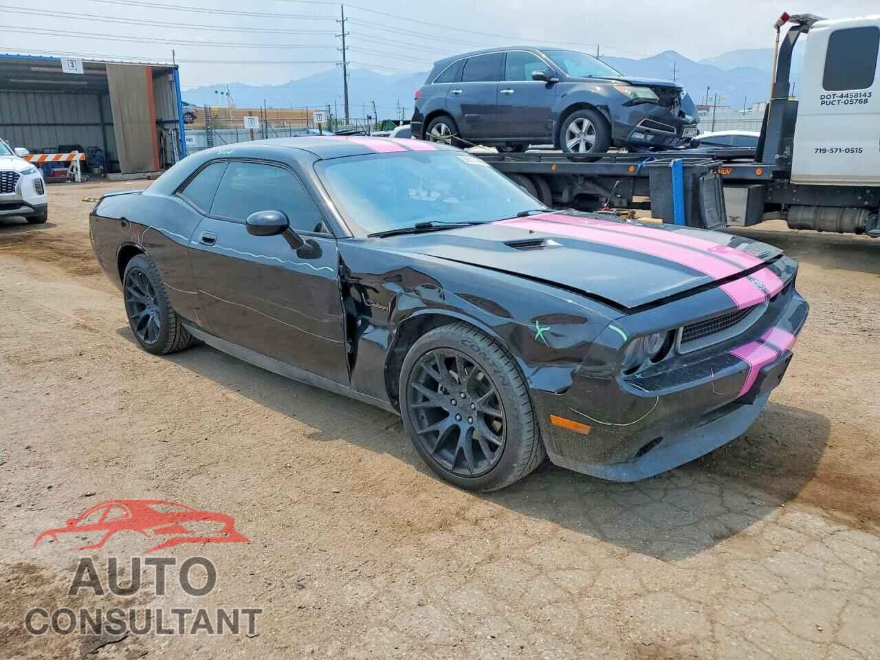 DODGE CHALLENGER 2010 - 2B3CJ4DVXAH240789