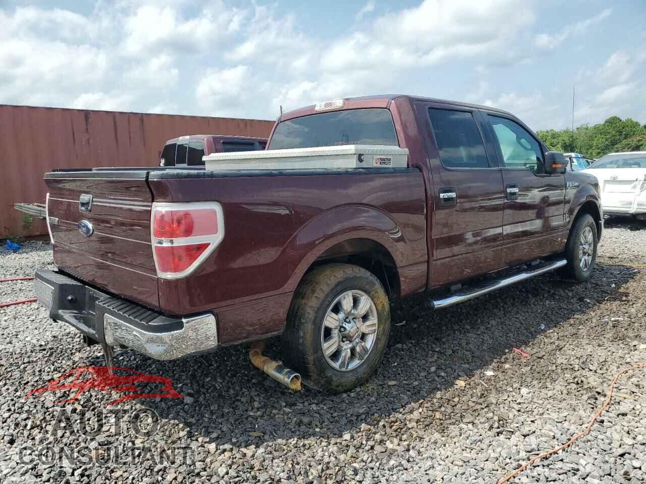FORD F-150 2010 - 1FTEW1C82AFB29464