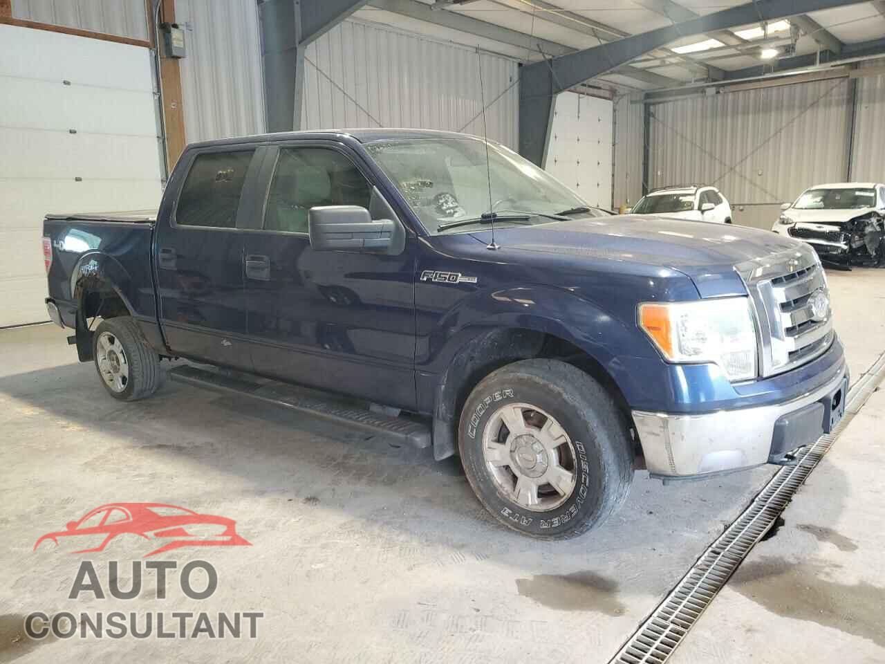 FORD F-150 2010 - 1FTEW1E80AFA72209
