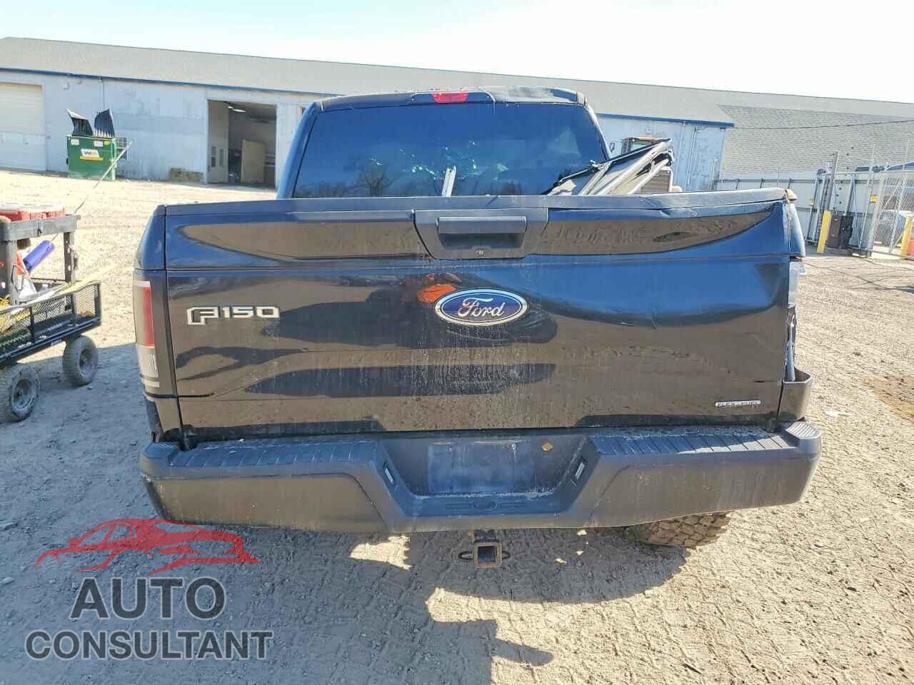 FORD F150 2016 - 1FTEW1EF0GFC02447
