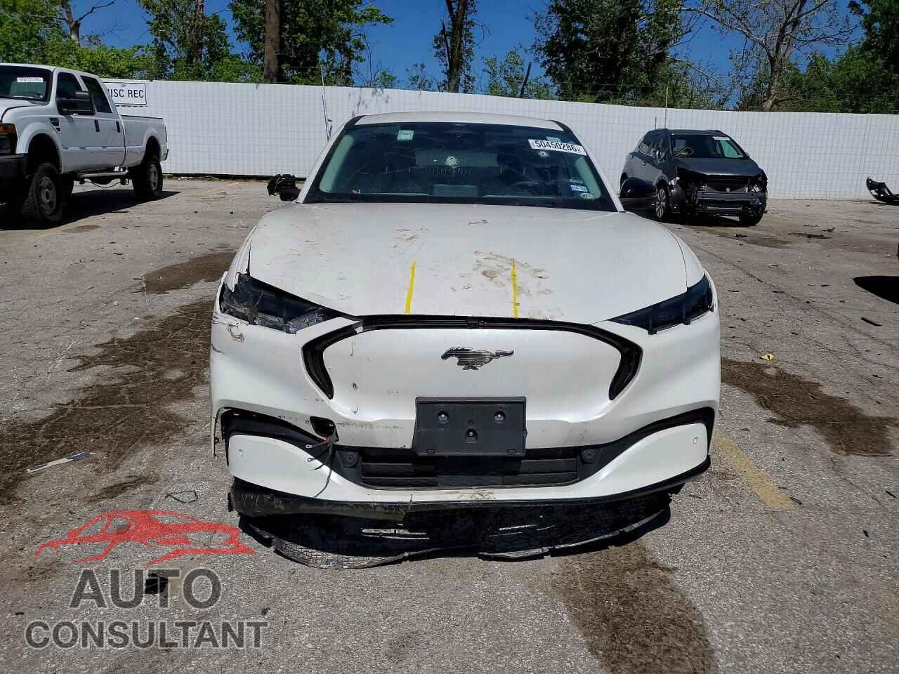 FORD MUSTANG 2024 - 3FMTK3SU3RMA04686