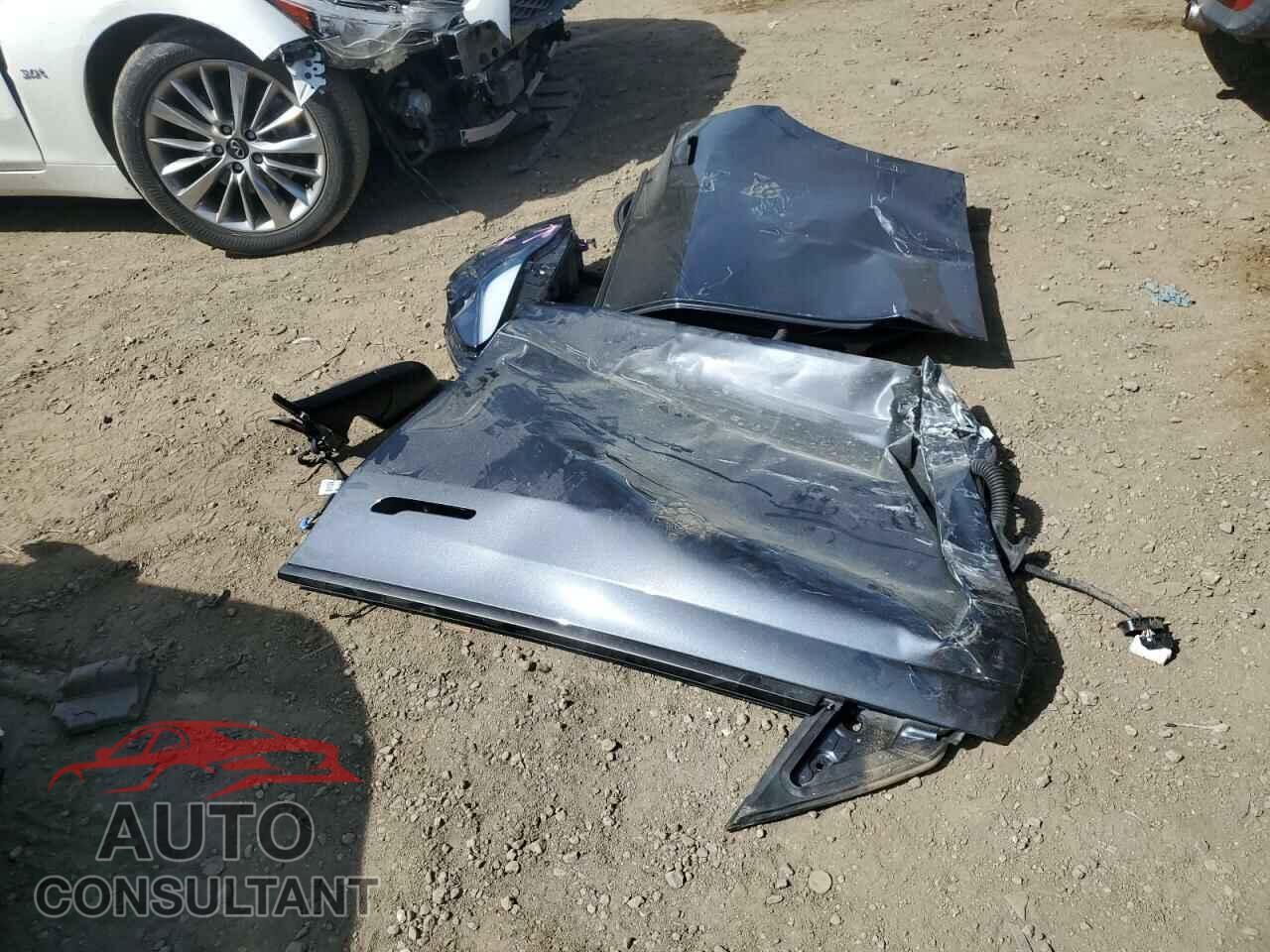 TESLA MODEL Y 2024 - 7SAYGDED4RF123948