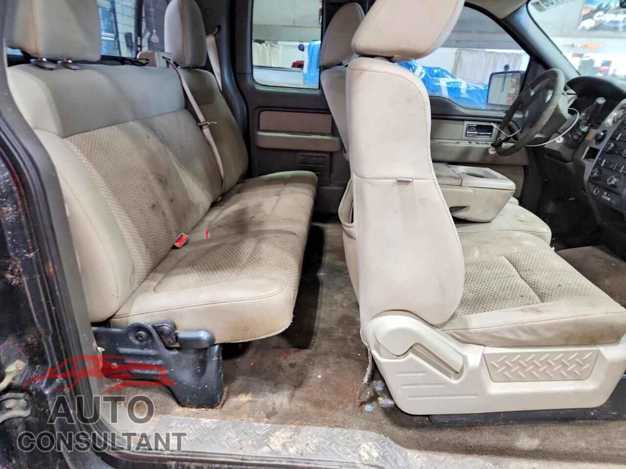 FORD F150 2010 - 1FTFX1EV9AFC96313